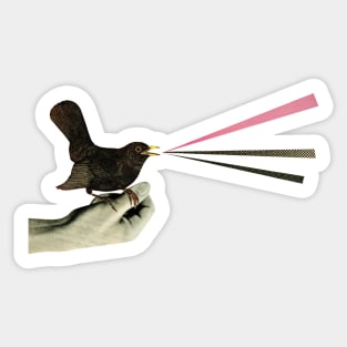 Bird in the Hand Sticker